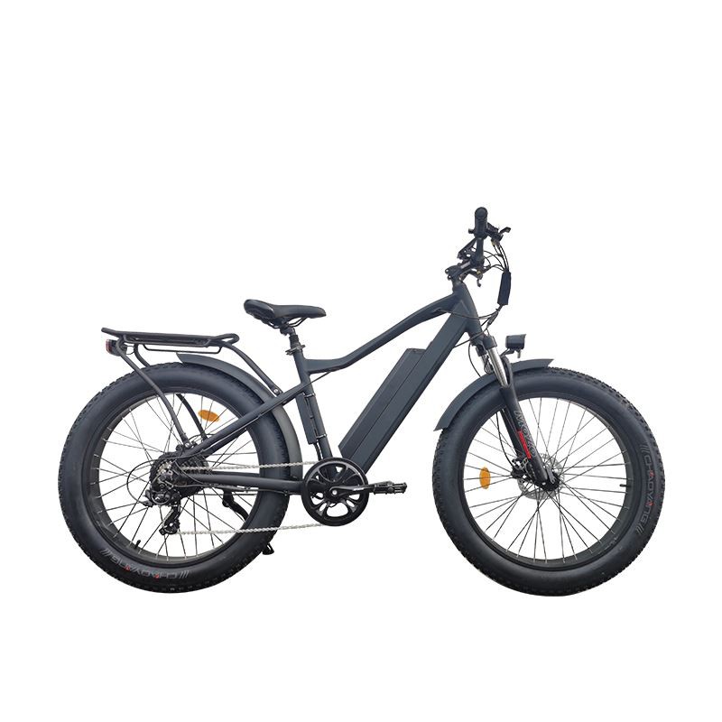 fat tire beach cruiser electric bike for men