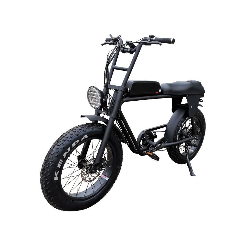 fat tyre electric bike retro 1000w