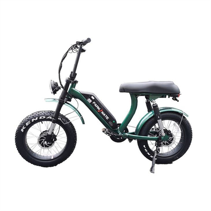 Hệ dẫn động bốn bánh Hệ thống treo kép Điện Fat Bike