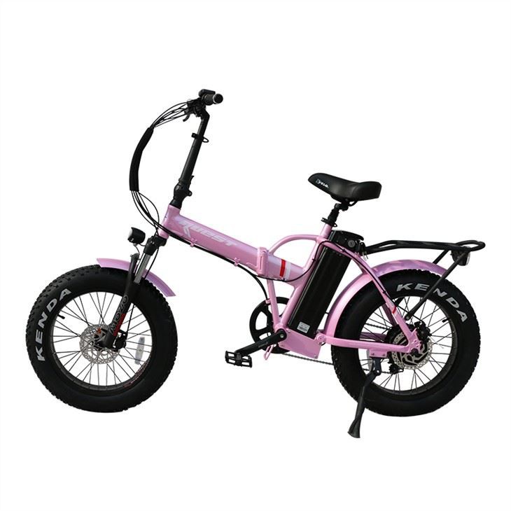 Chopper Fat Tire Xe đạp điện