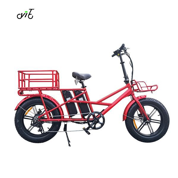 Dual Battery Delivery E Bike