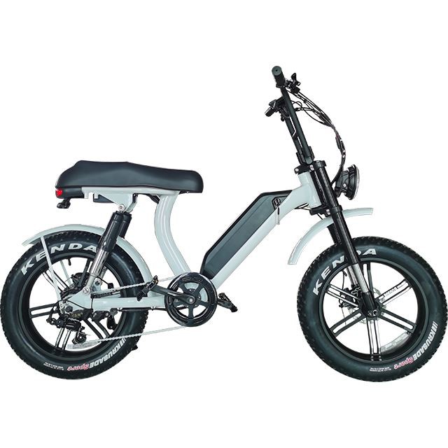 Fat Tire Electric Cruiser Xe đạp